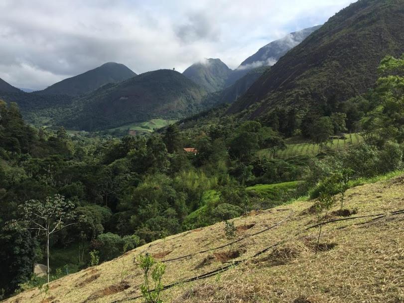 Pousada Quinta Das Nascentes เปโตรโปลิส ภายนอก รูปภาพ